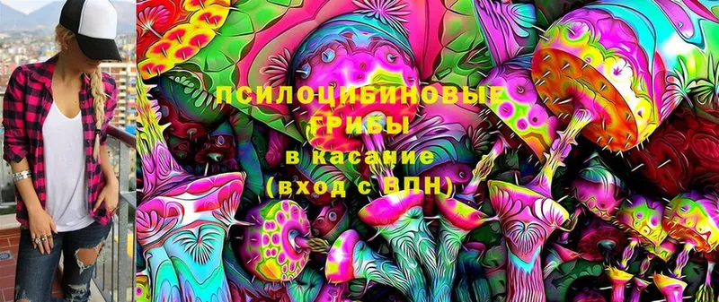 Псилоцибиновые грибы Magic Shrooms  Карпинск 